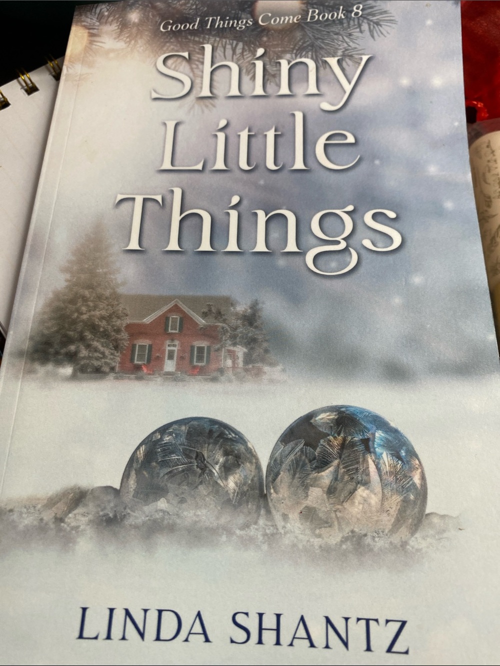 Shiny Little Things — Blue/Silver Book by Linda Shantz
